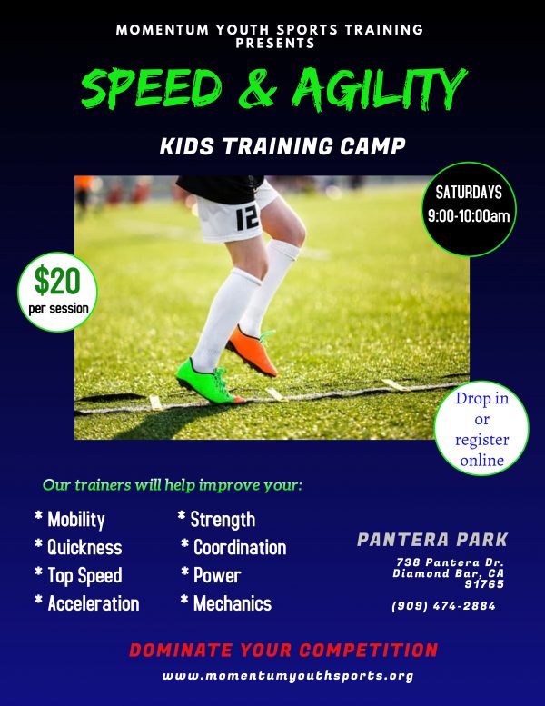 Programs - Momentum Youth Sports Training